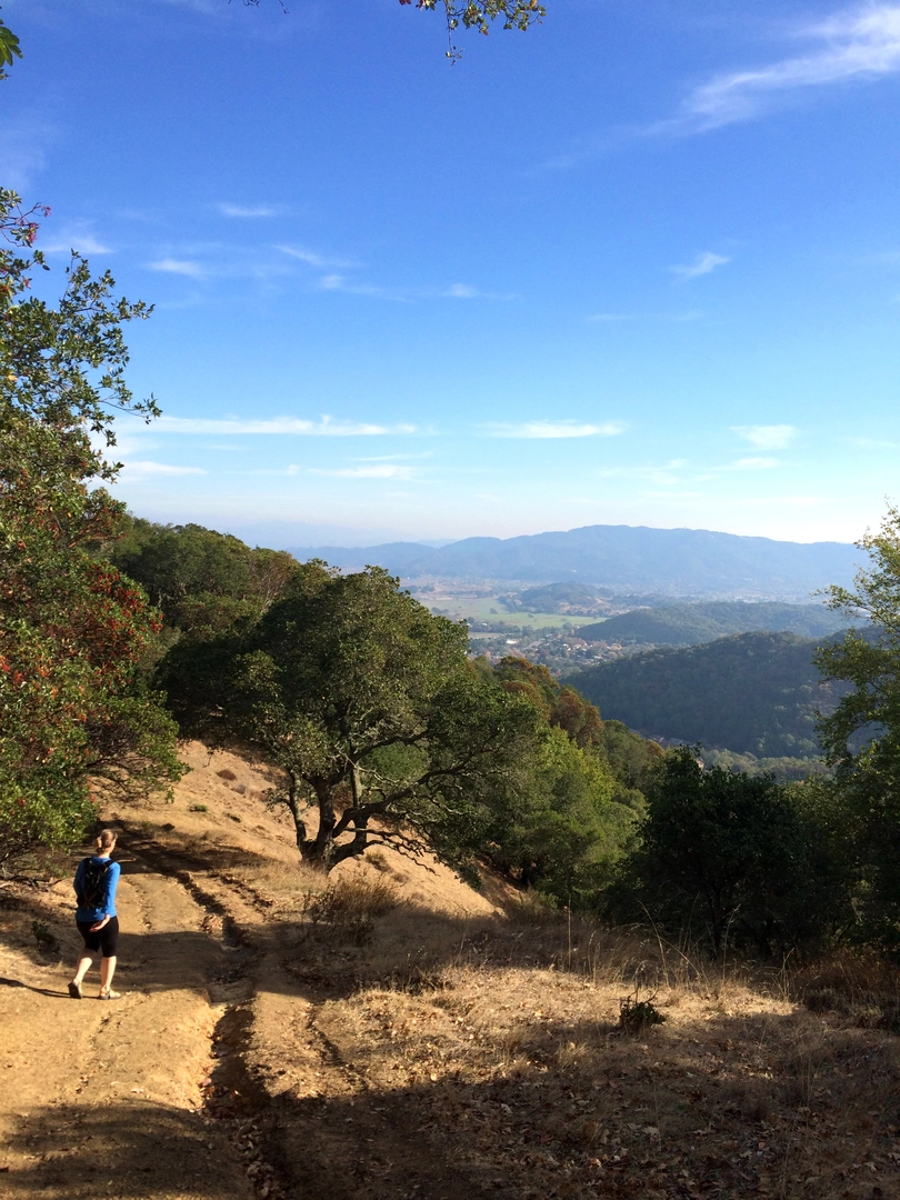 An image depicting the trail Ponti Trail and Big Rock Ridge Road Loop and its surrounding area.
