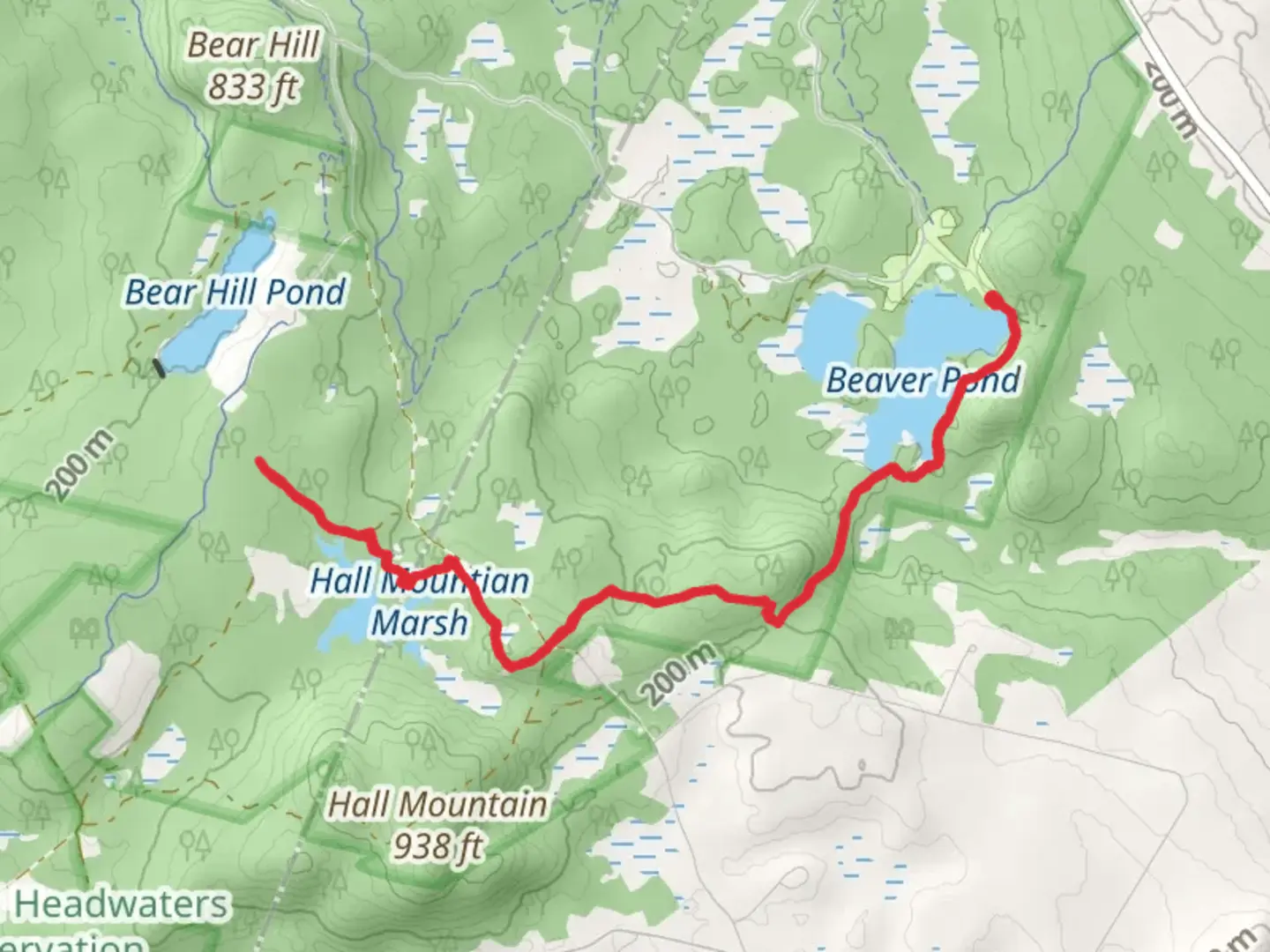 An image depicting the trail Beaver Pond to Hall Mountain Marsh Trail and its surrounding area.