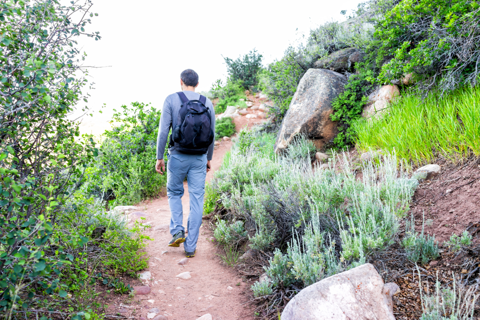 An image depicting the trail Sunnyside Trail and its surrounding area.