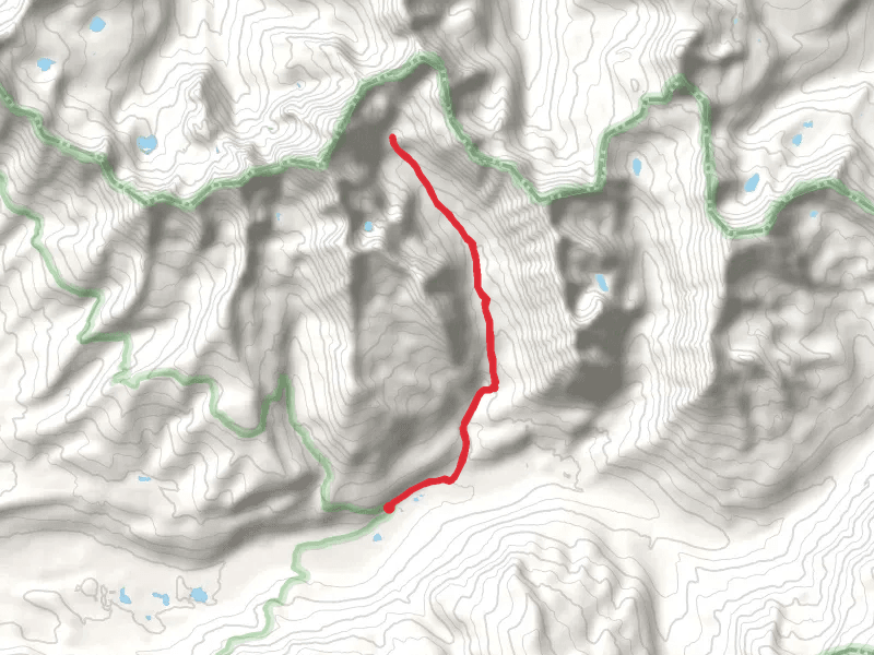Texas Creek and Waterloo Gulch Trail
