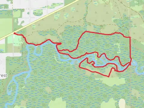 Florida, Kolokee and Outback Loop Trail