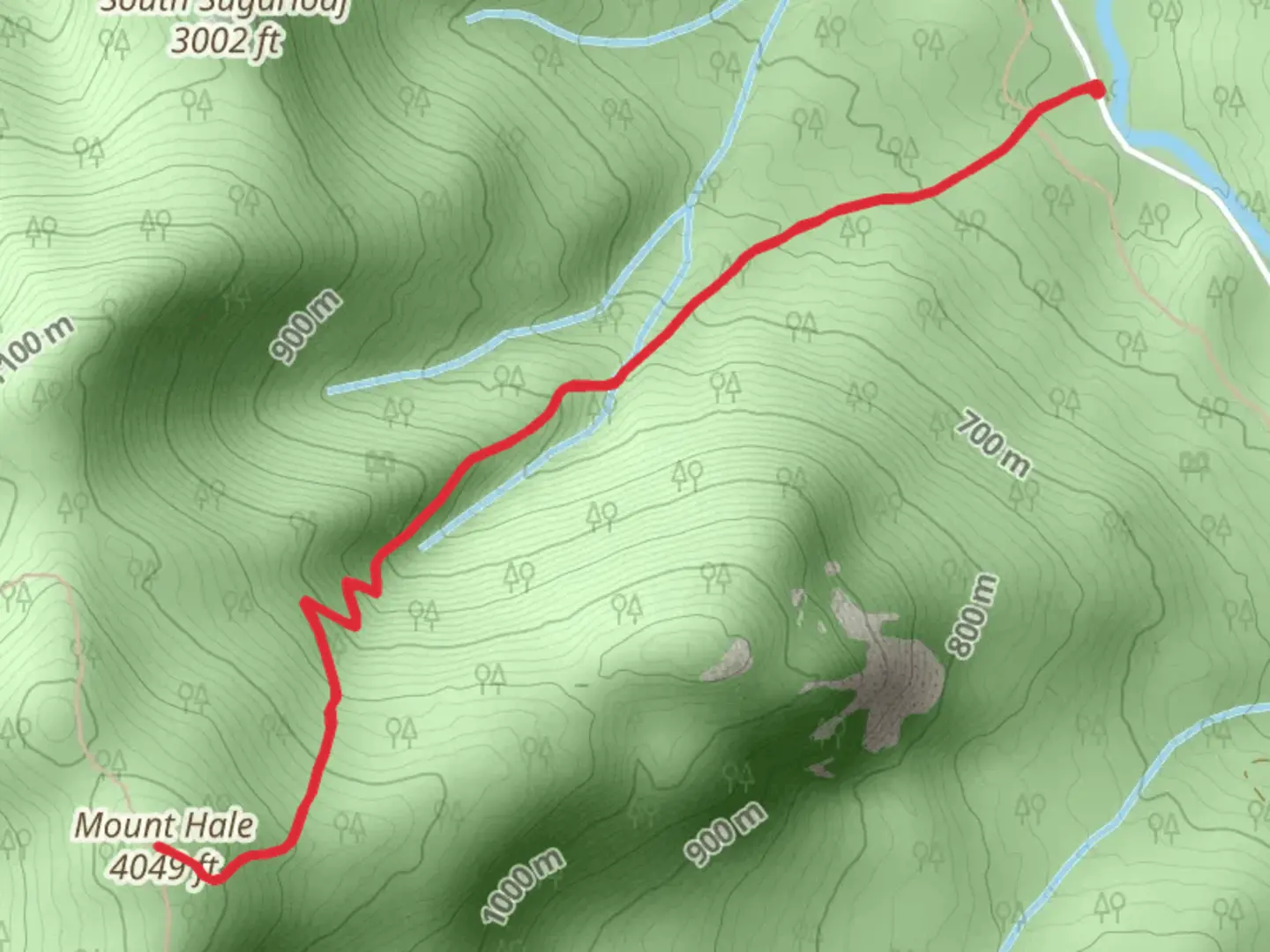 An image depicting the trail Mount Hale Out and Back and its surrounding area.