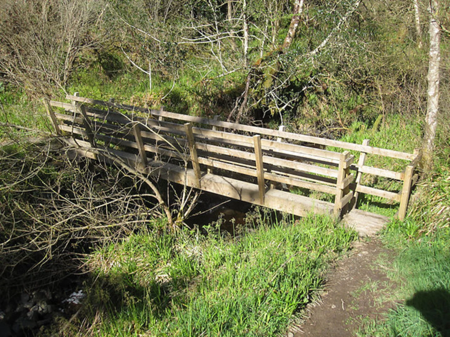 An image depicting the trail Monicknew - Riverside Walk and its surrounding area.