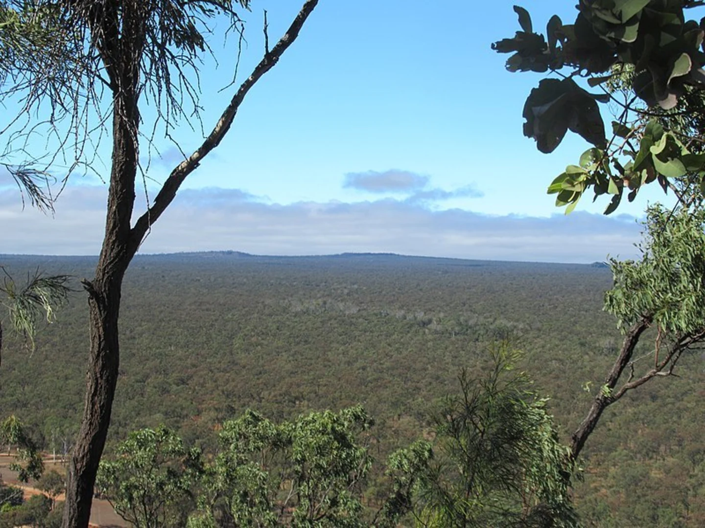 An image depicting the trail Atkinsons Lookout Trail and its surrounding area.