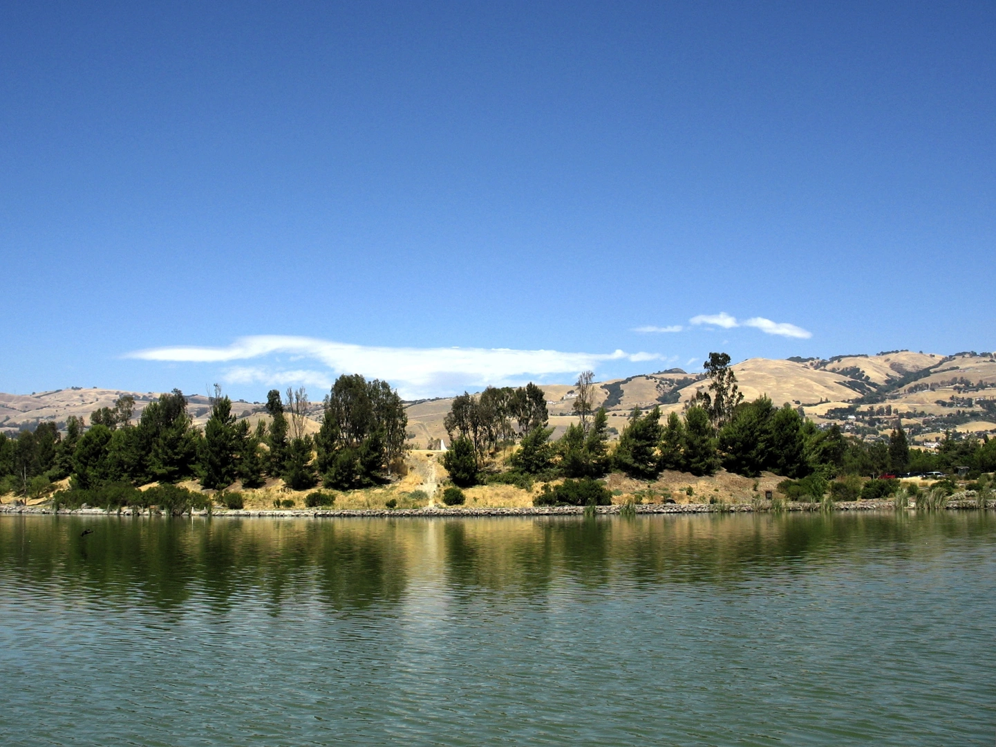 An image depicting the trail Lake Cunningham Loop and its surrounding area.