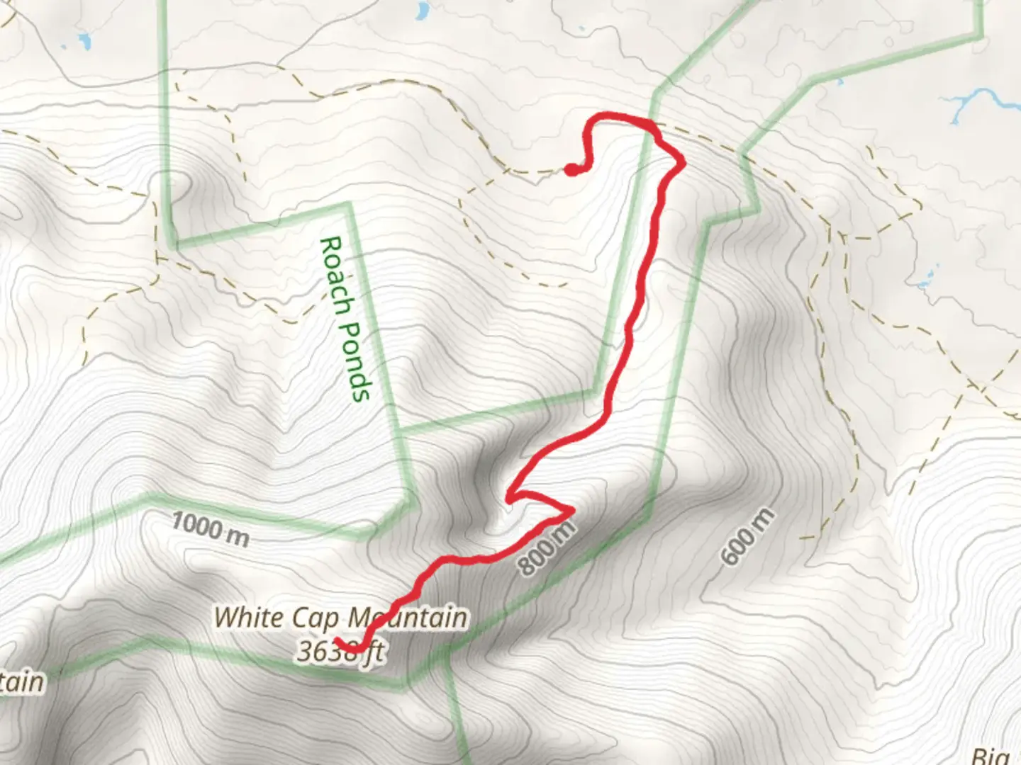 An image depicting the trail White Cap Mountain via Appalachian Trail and its surrounding area.