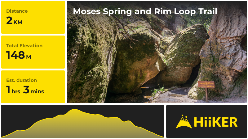 Moses Spring and Rim Loop Trail | San Benito County | California