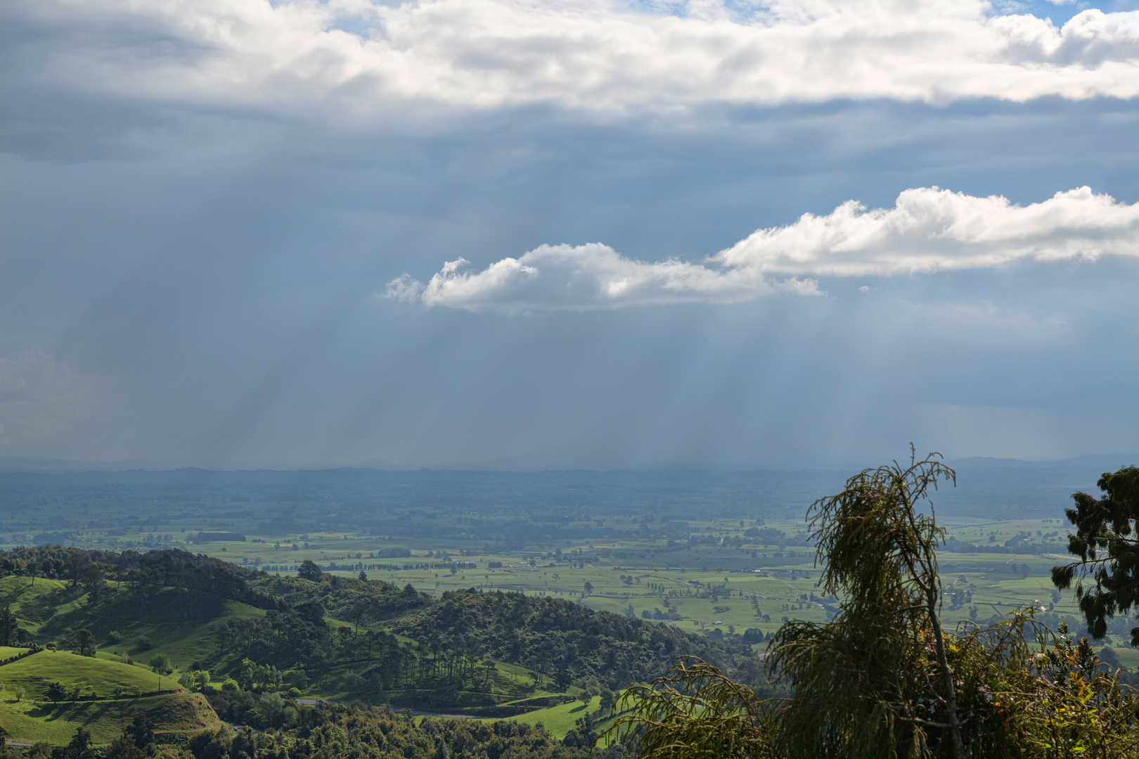 An image depicting the trail Ngamuwahine Track and its surrounding area.