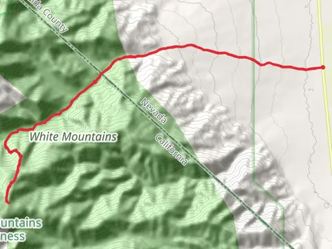 Leidy Creek Stock Trail