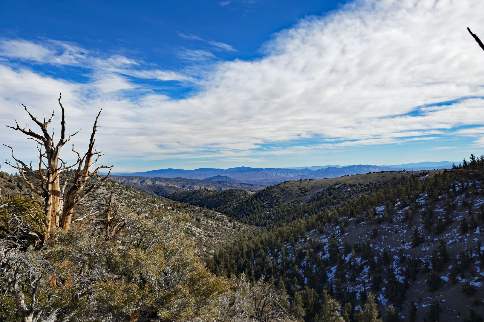 An image depicting the trail White Mountain Road Forest Route Short Loop and its surrounding area.