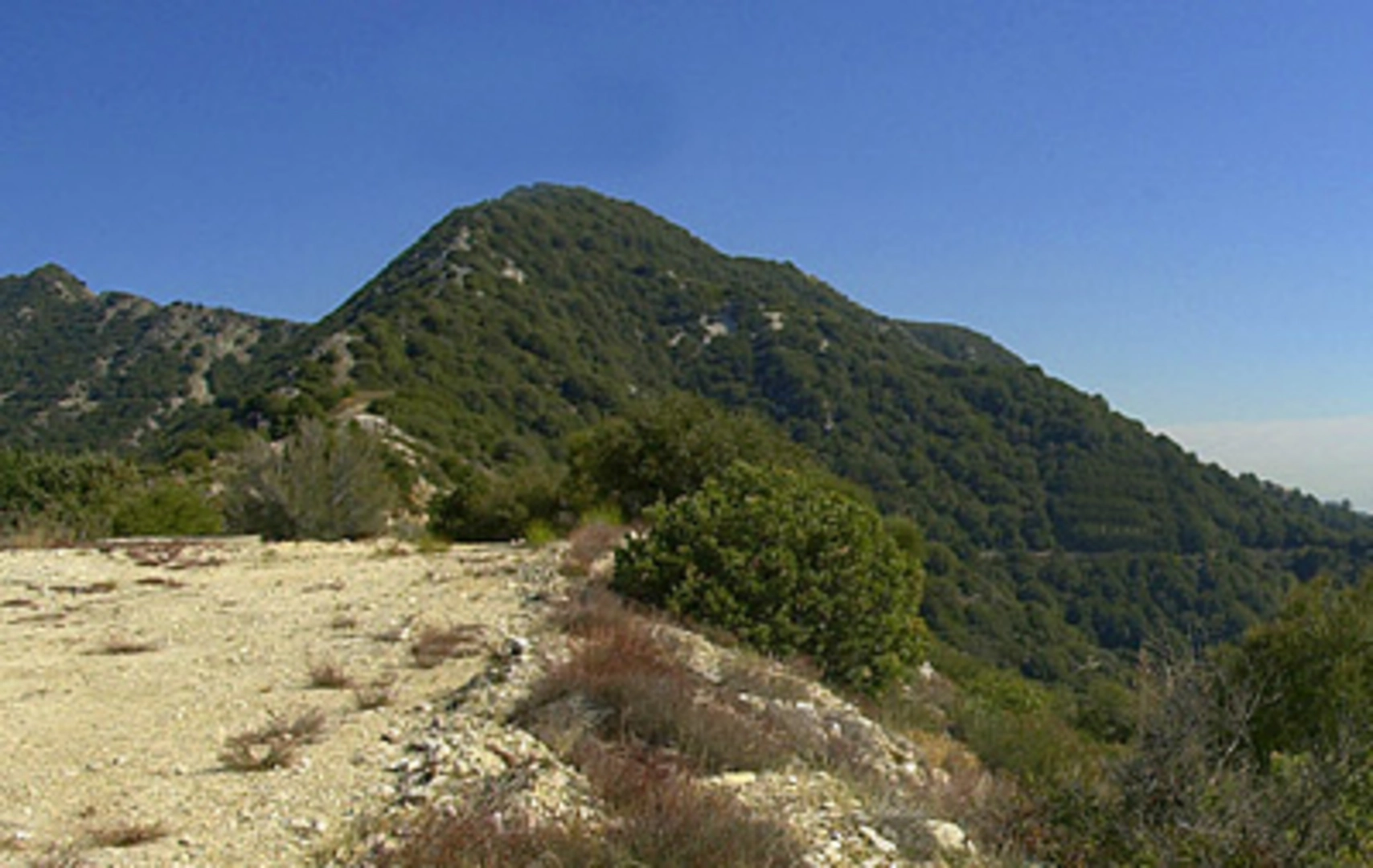 An image depicting the trail Mountain Lowe West Trail and its surrounding area.