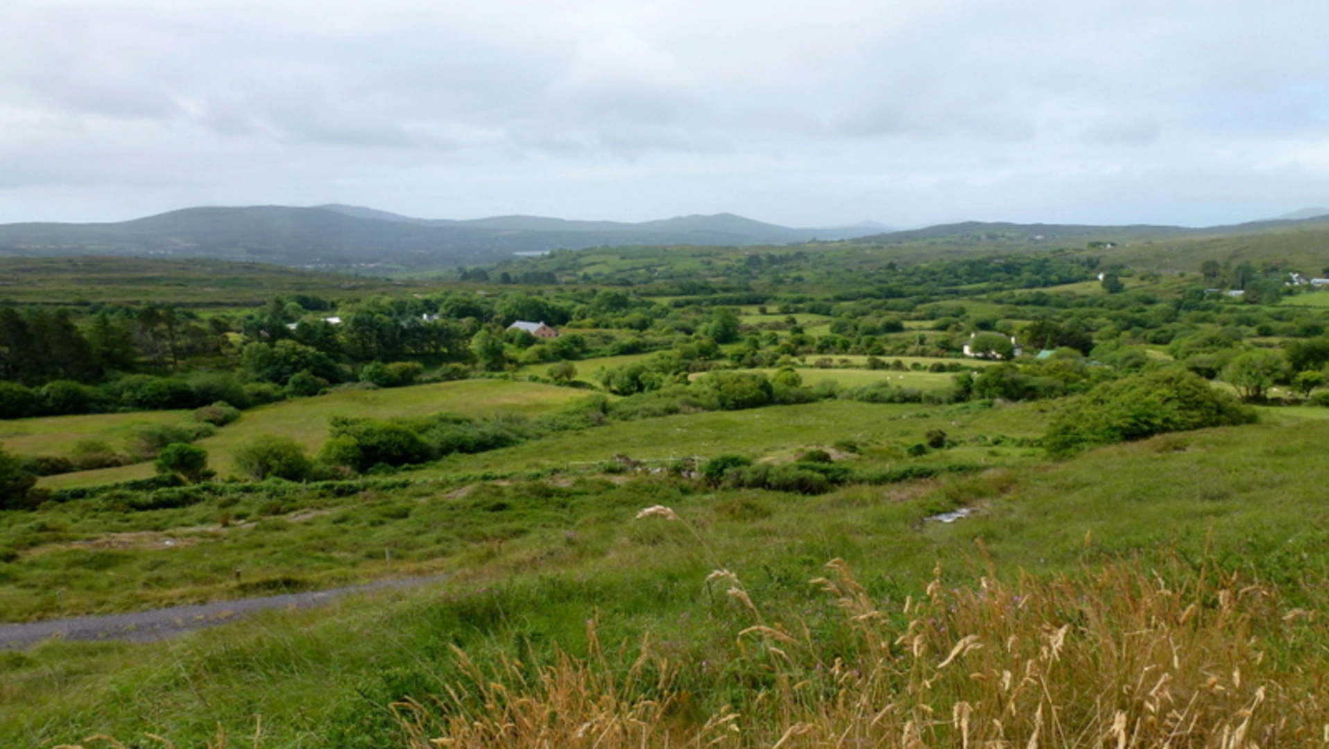 An image depicting the trail Coomkeen Loop and its surrounding area.