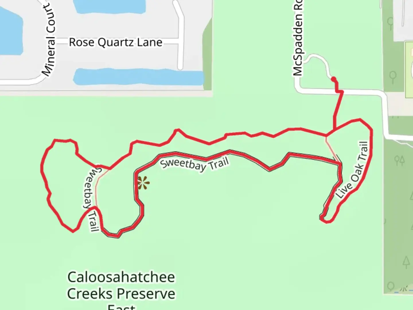 An image depicting the trail Sweetbay Loop and its surrounding area.