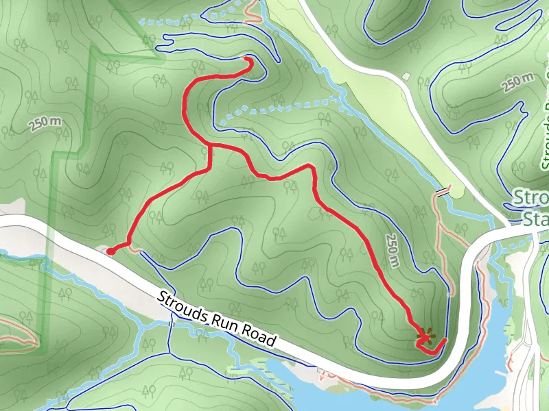 White Pine Trail and Vista Point Loop Trail