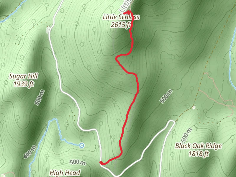Little Schloss Trail