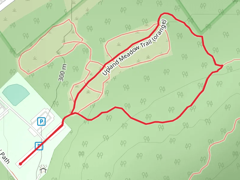 Upland Meadow Loop Trail-Orange