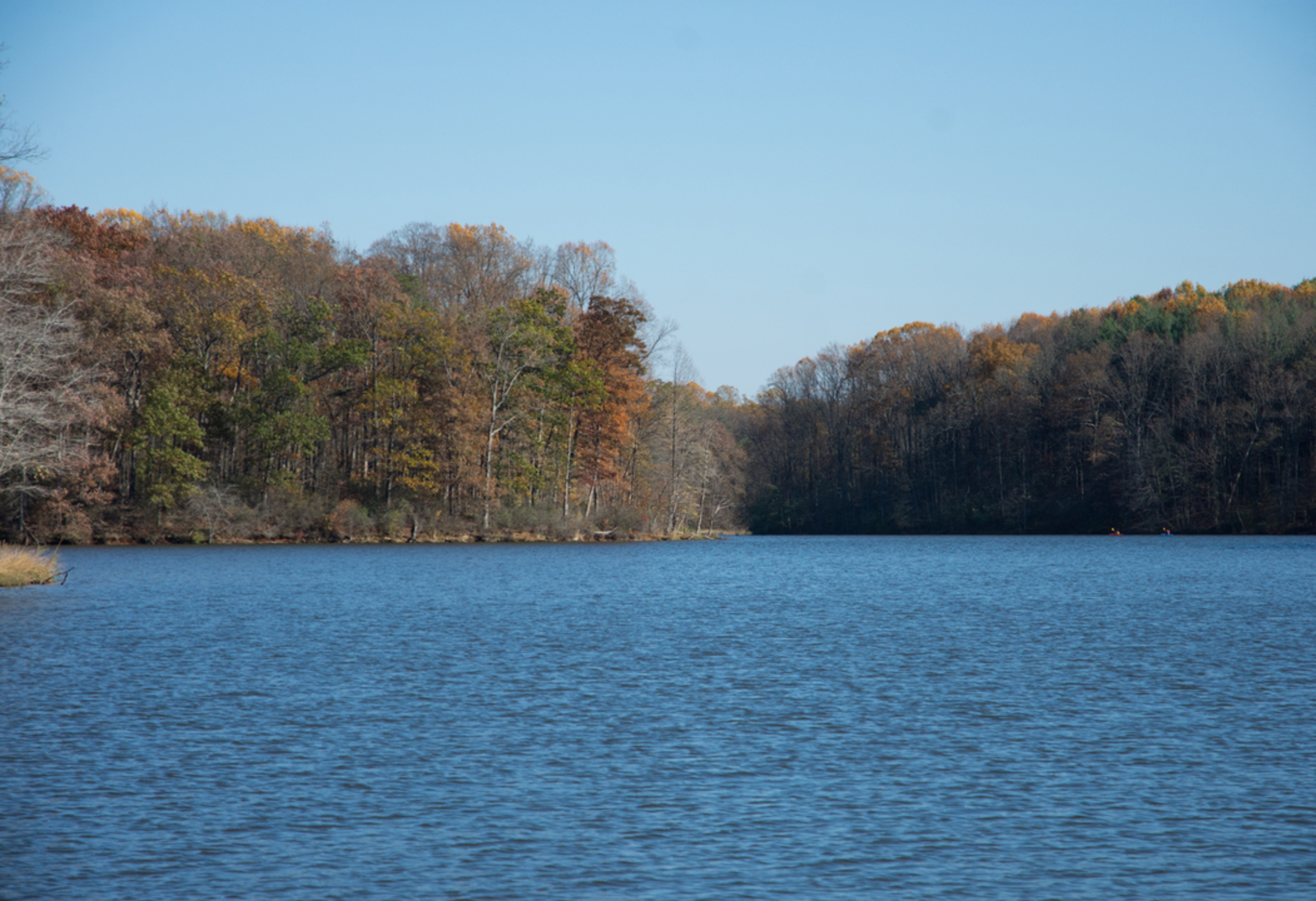 An image depicting the trail Clopper Lake Loop and its surrounding area.