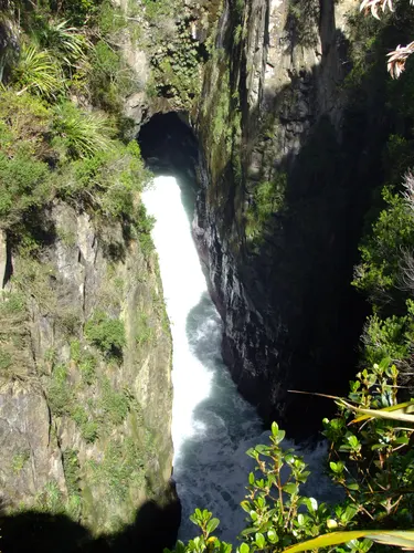 Jacks Blowhole Track