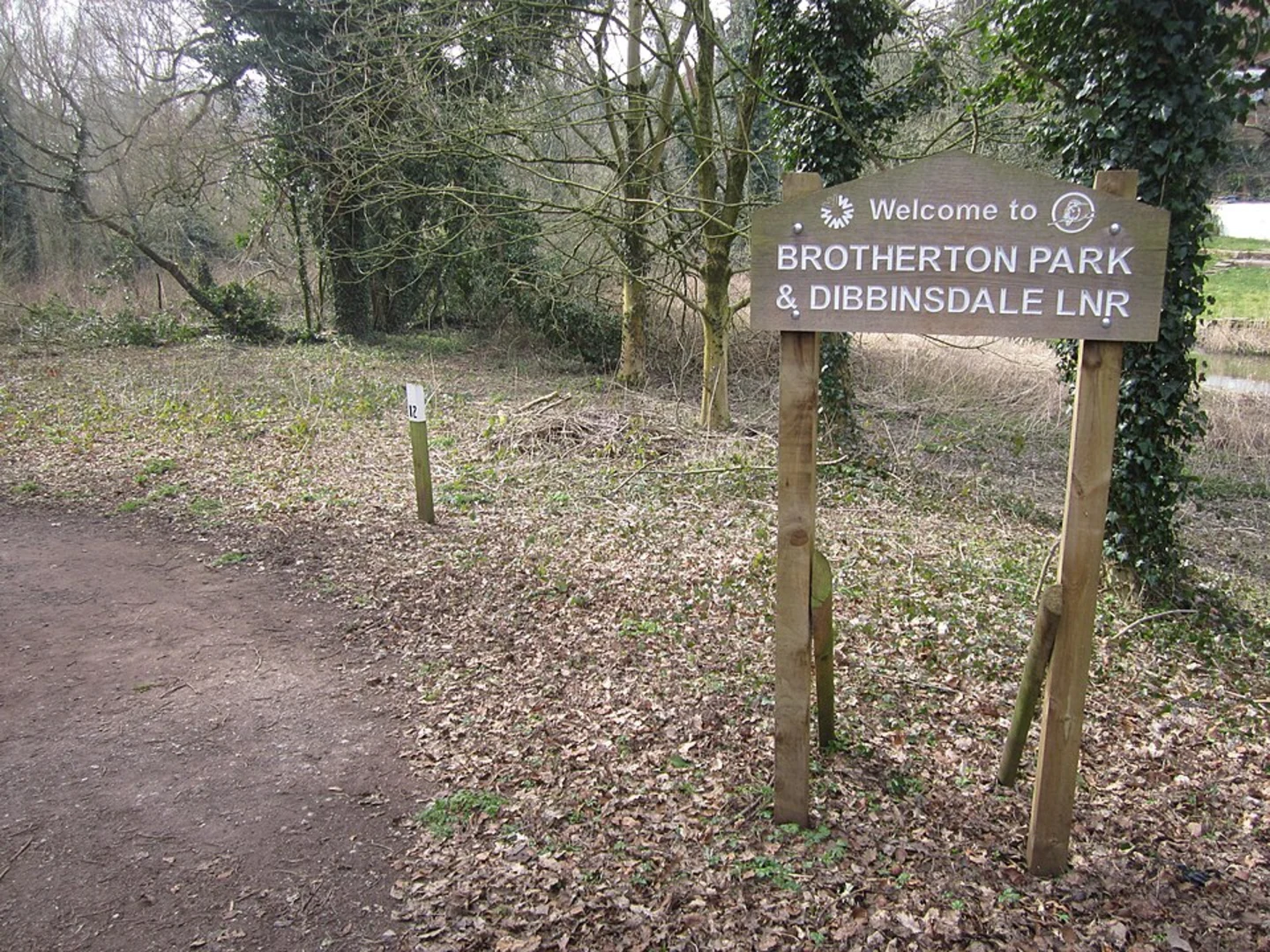 An image depicting the trail Brotherton Park Loop and its surrounding area.