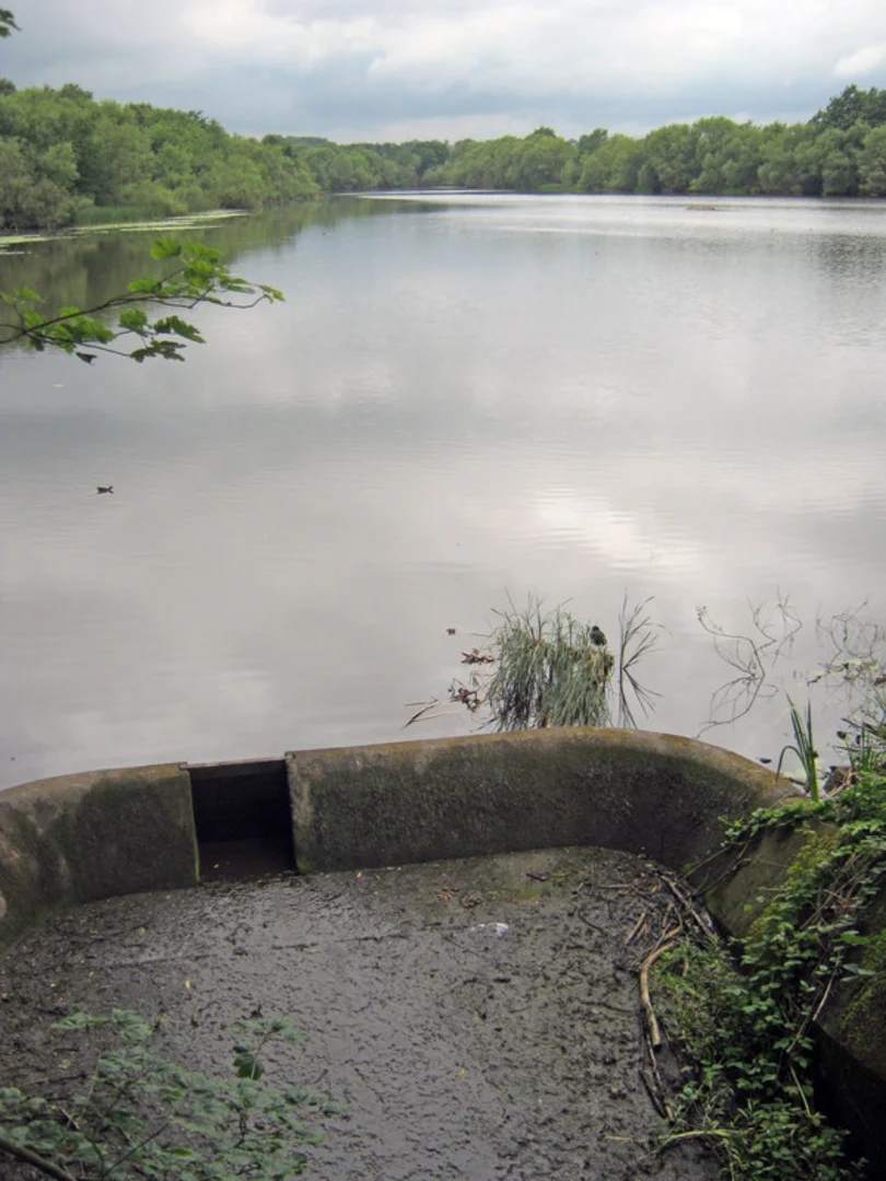 An image depicting the trail Mapperley Reservoir Loop and its surrounding area.