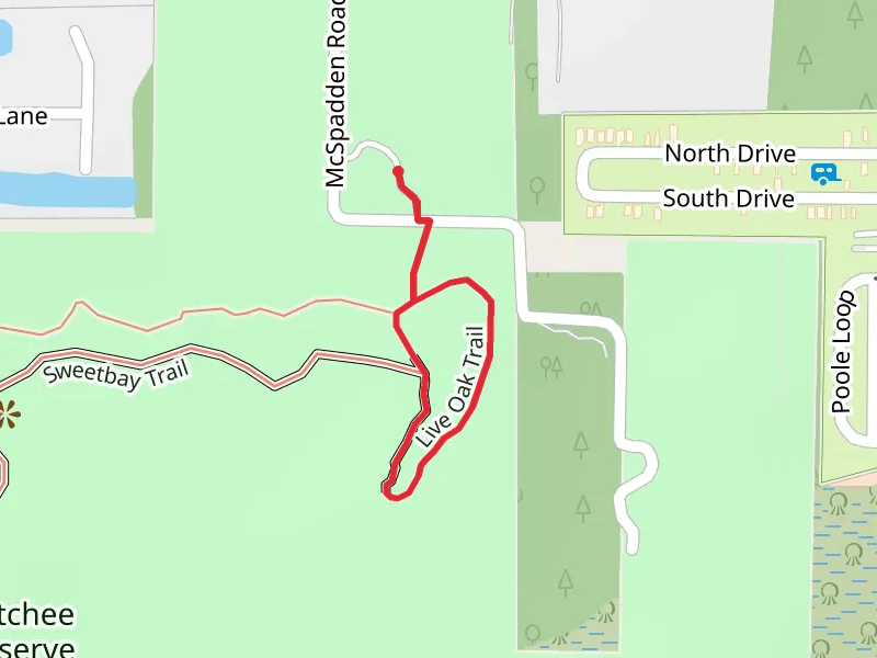 Live Oak Trail