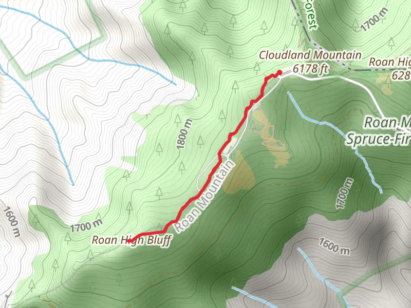 Roan High Bluff Trail
