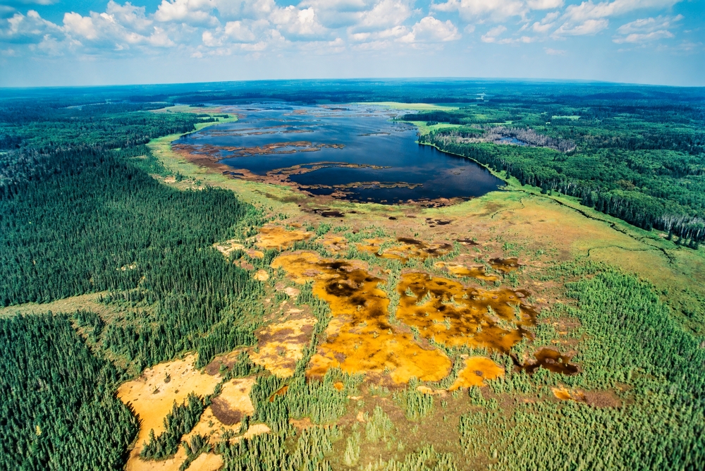 An image depicting the trail Riding Mountain National Park of Canada and its surrounding area.