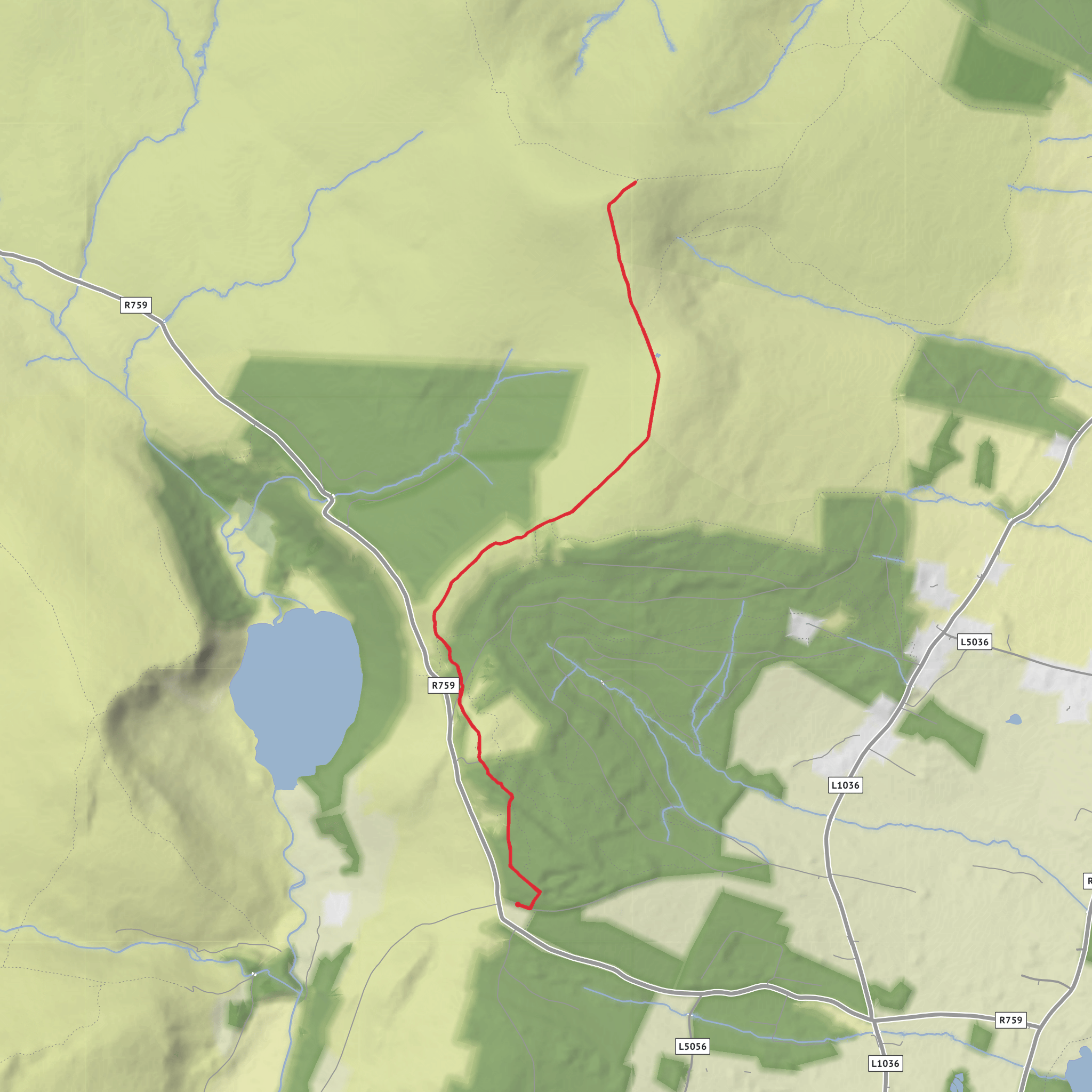 Ballinastoe Woods To Djouce Loop mobile static map