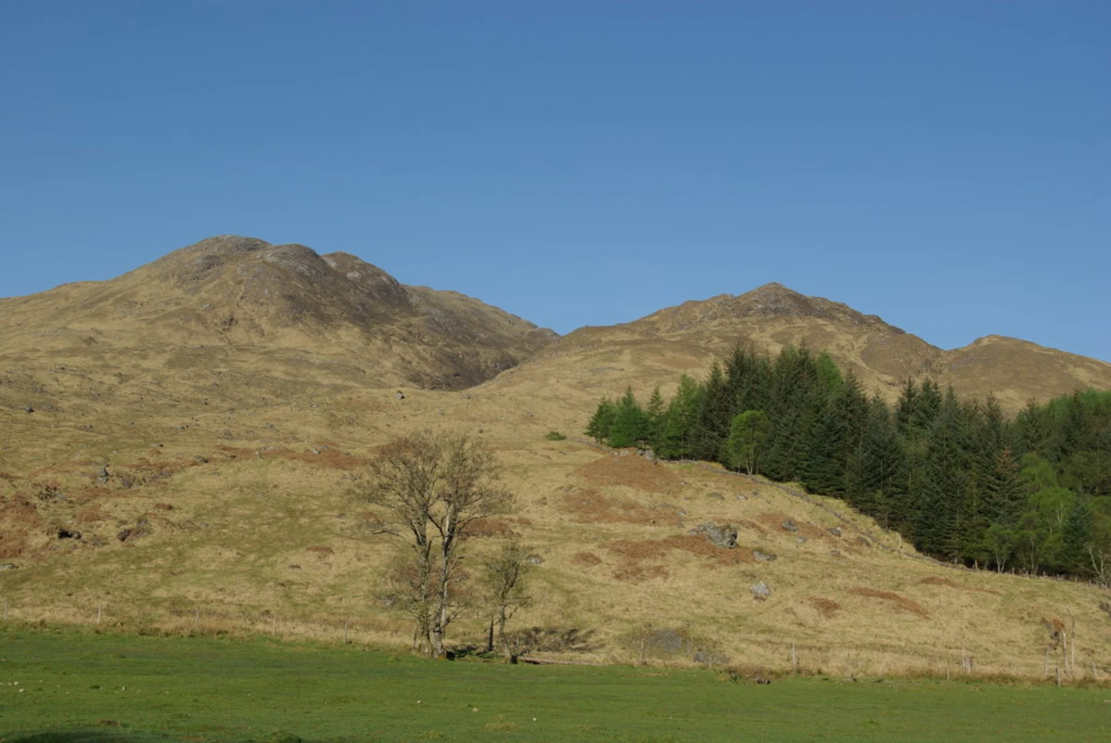 An image depicting the trail Sgòrr Craobh a' Chaorainn and its surrounding area.