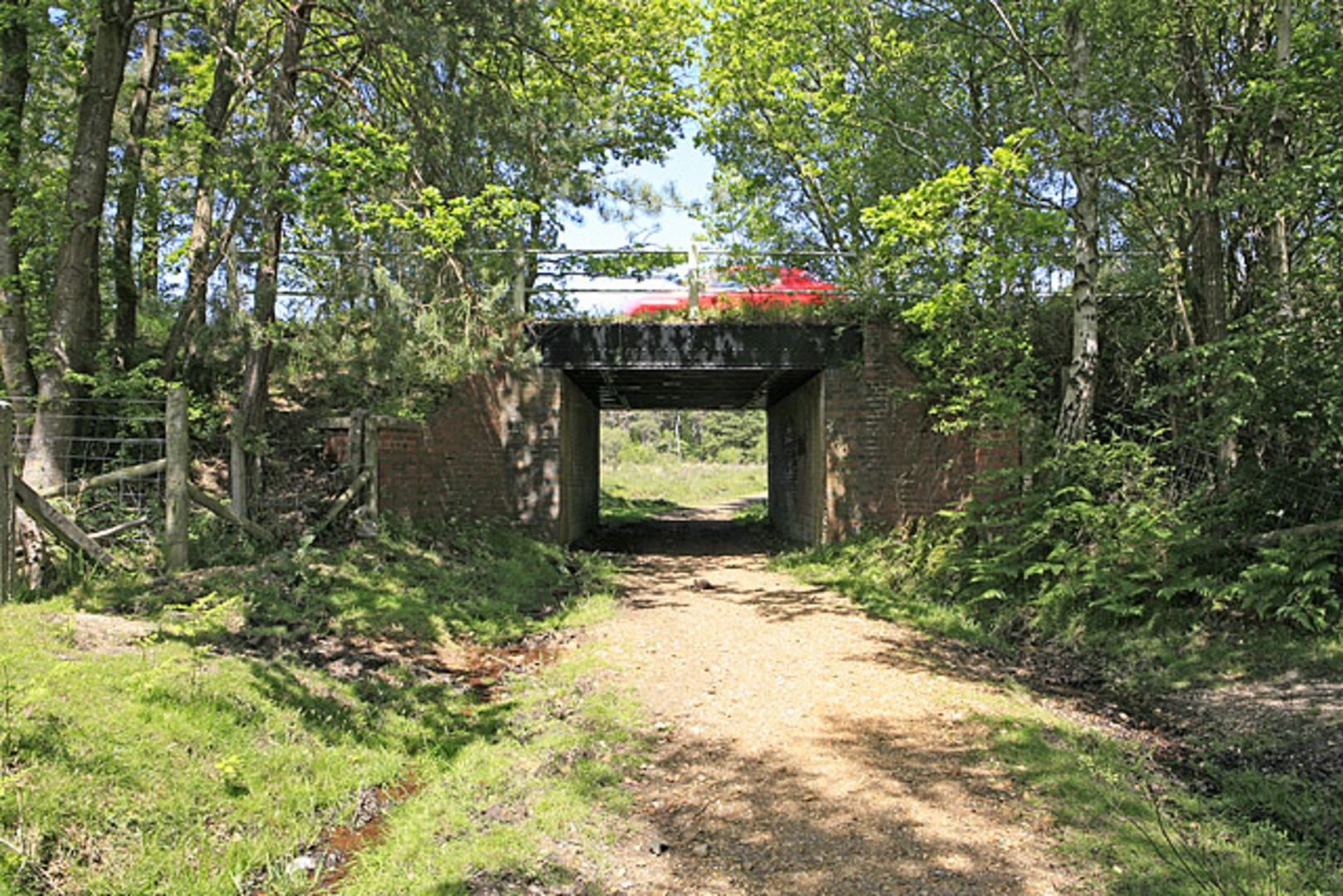 An image depicting the trail Brownhill Inclosure and Wiverley Inclosure Loop and its surrounding area.