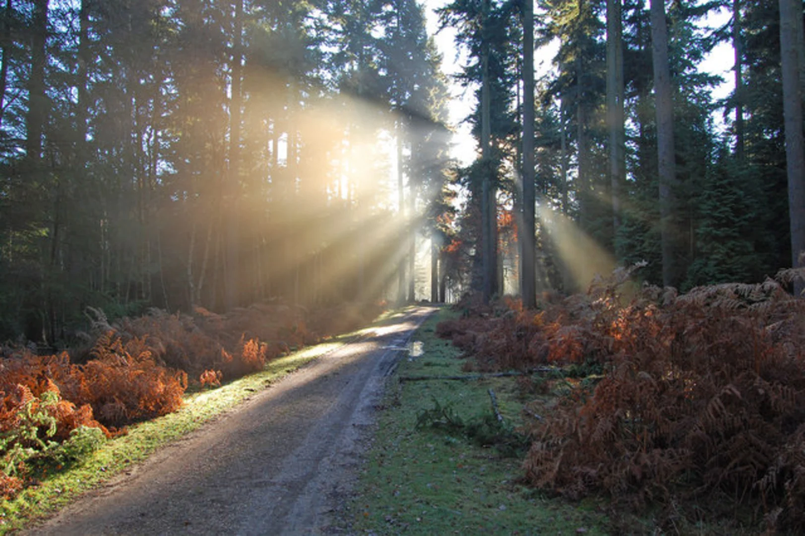 An image depicting the trail Portuguese Fireplace and its surrounding area.