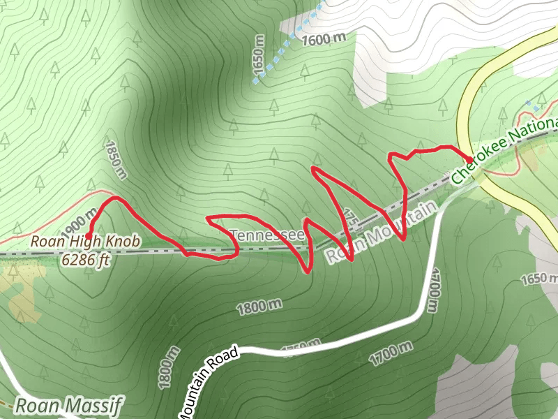 Roan High Knob via Appalachian Trail