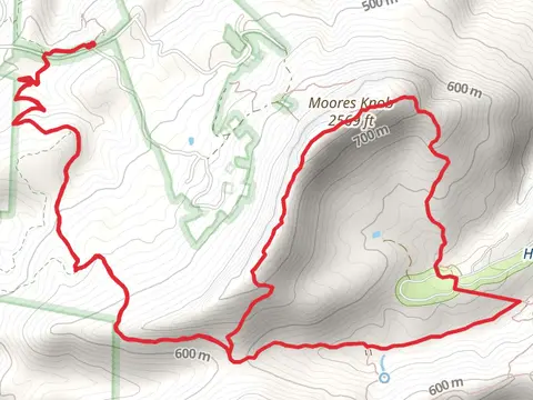 Torys Den, Moores Knob and Moores Wall Loop Trail