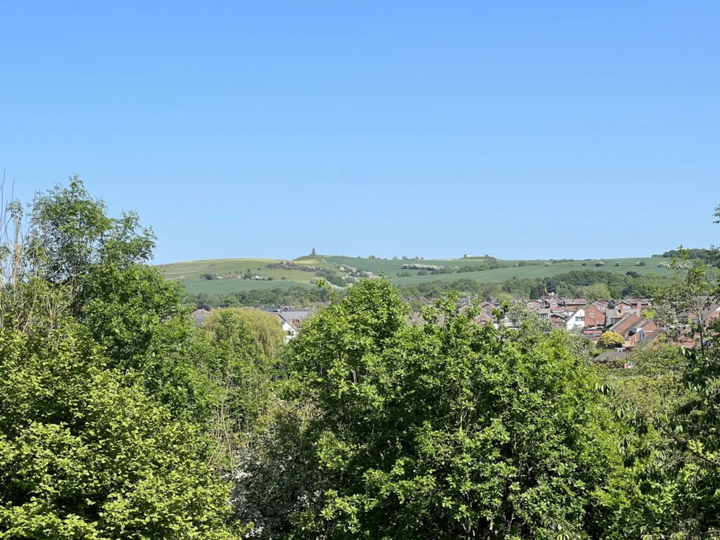 An image depicting the trail Bignall Hill to Betley Walk and its surrounding area.