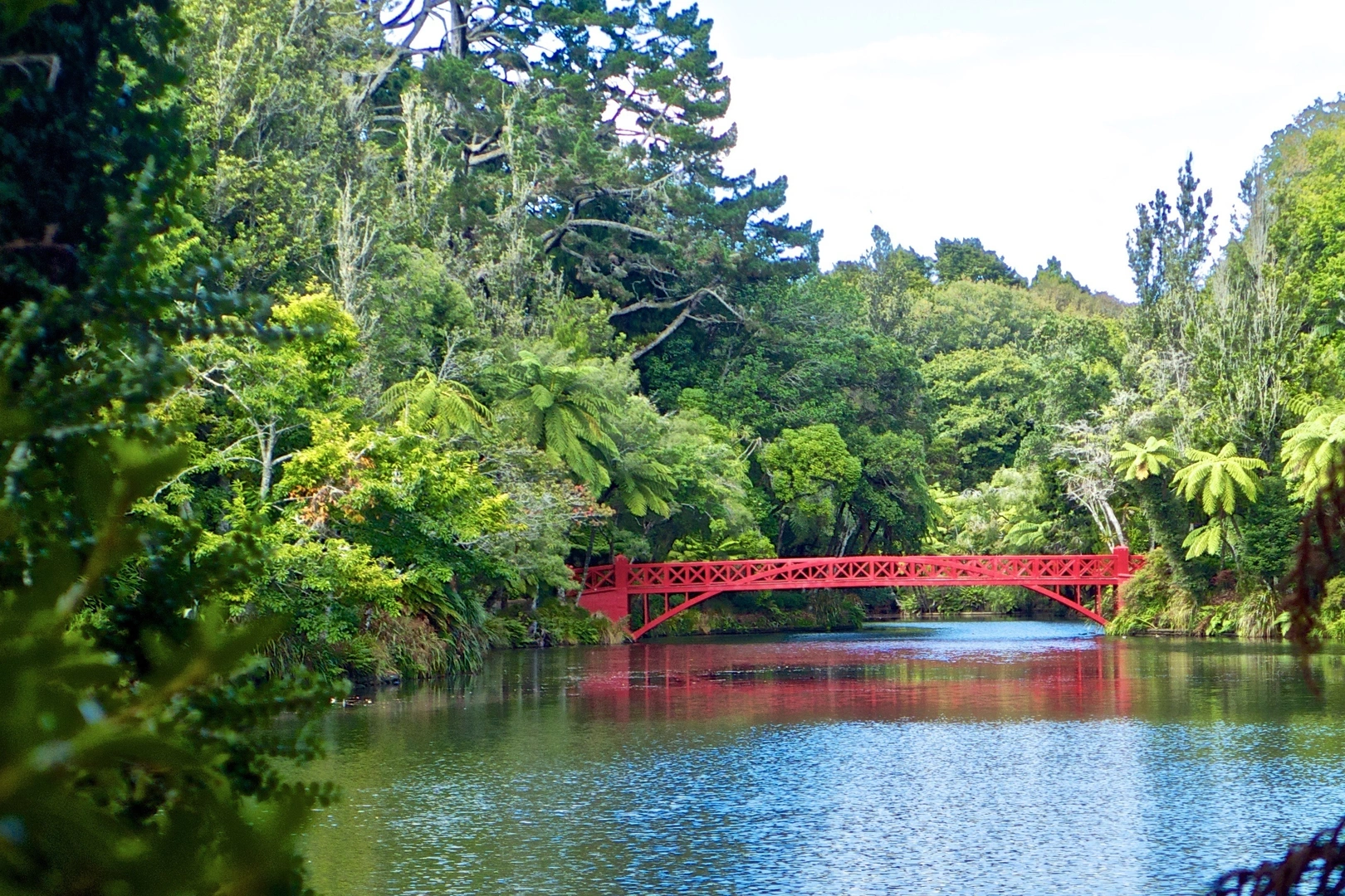 An image depicting the trail Pukekura Park Loop and its surrounding area.
