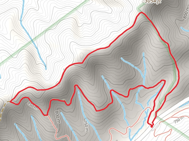 Horse Cove Gap Road and Cherokee Logging Road Loop - Short