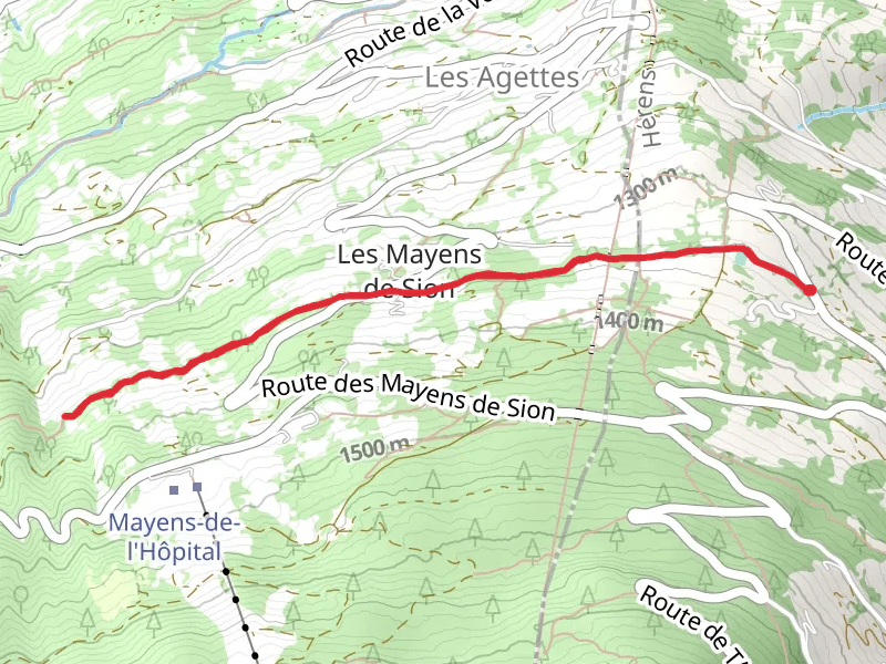 Chemin du Grand Bisse de Vex