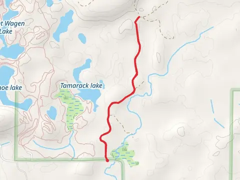 Tamarack Lake Out and Back