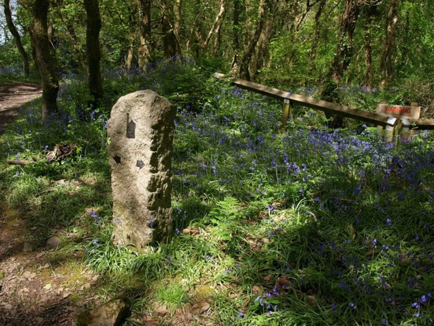 An image depicting the trail Portreath to Devoran Walk and its surrounding area.