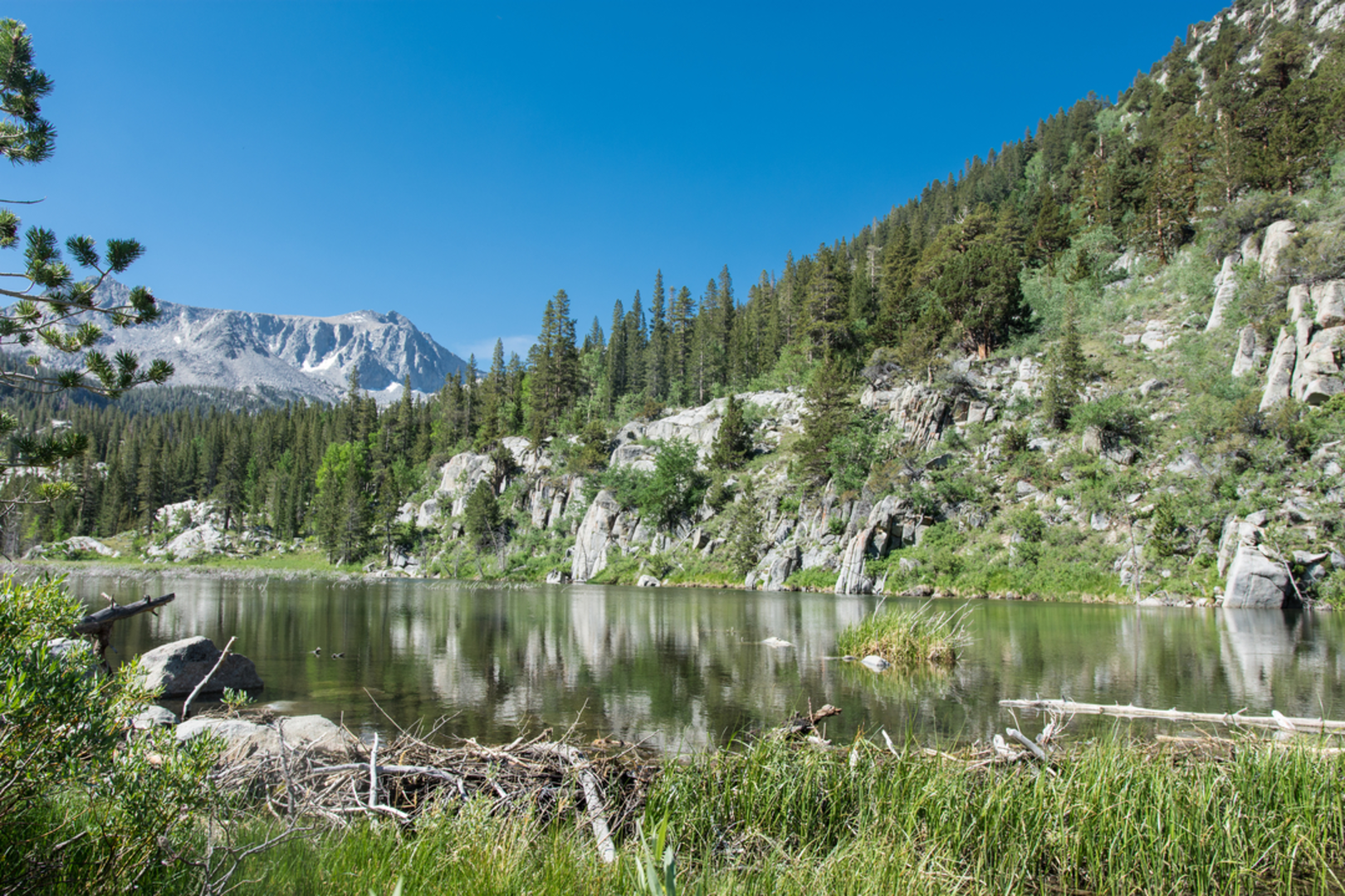 An image depicting the trail McGee Pass Trail and its surrounding area.