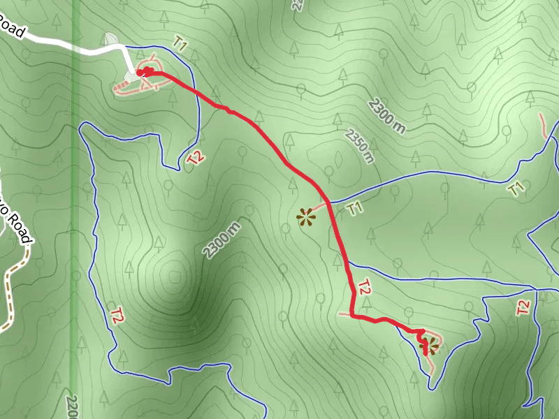 Mount Falcon via Castle Trail