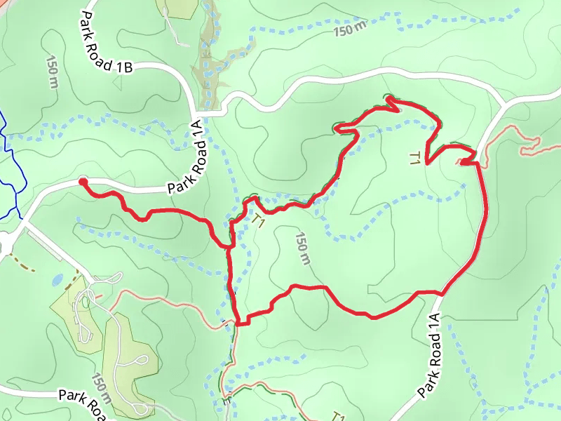Farkleberry, Post Oak and Scenic Overlook Trail Loop