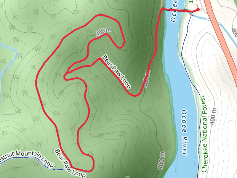 Bear Paw Loop