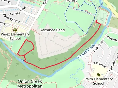 Onion Creek Greenbelt Trail 1 and 3 Loop