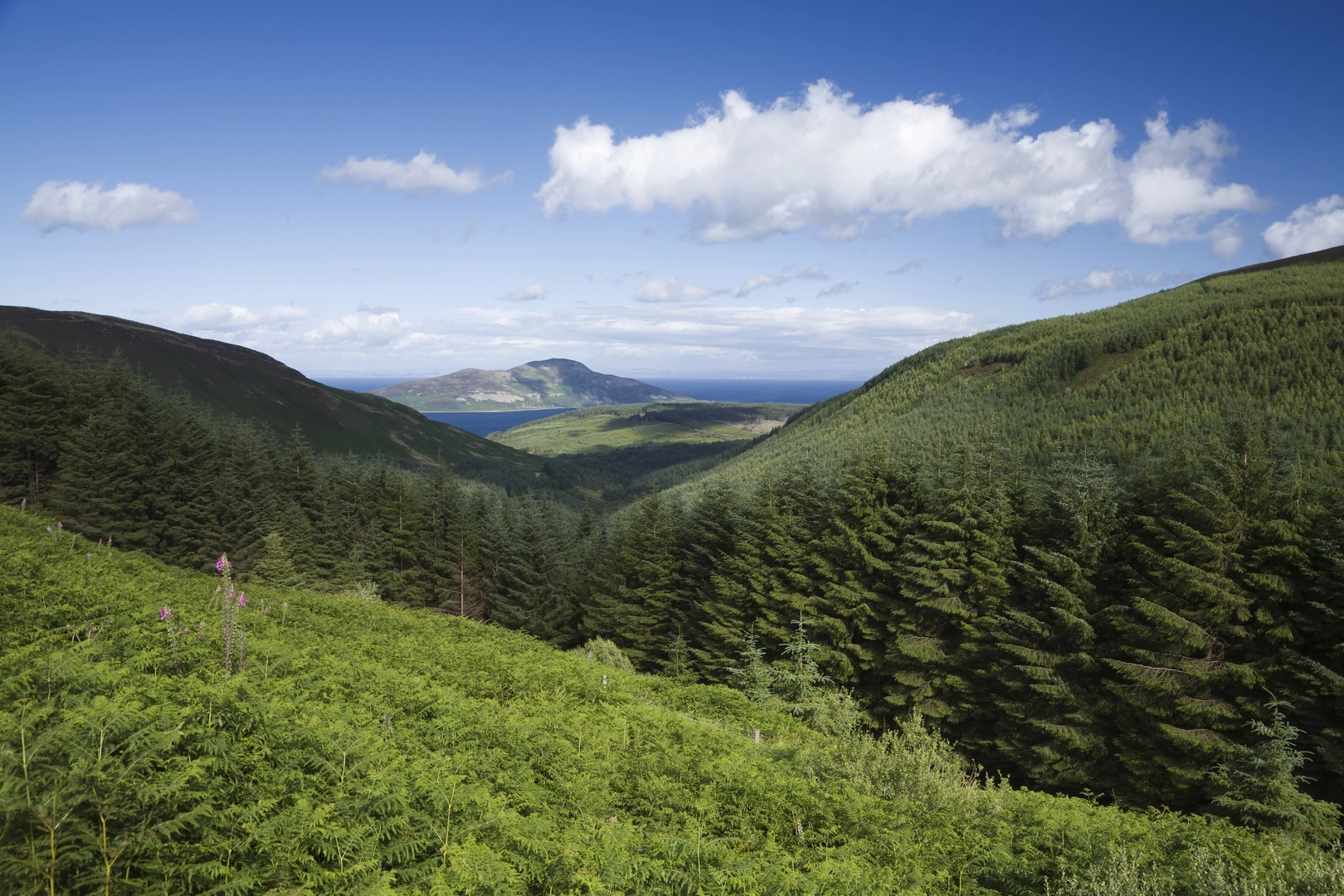 An image depicting the trail Uri Loch and Tigvein Loop and its surrounding area.