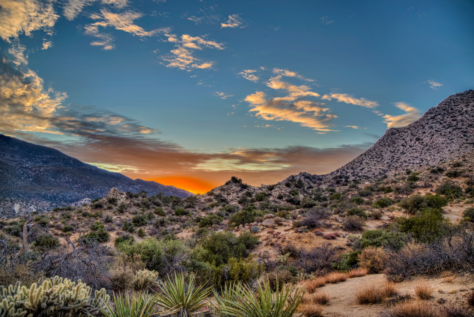 An image depicting the trail Alessandro Trail and its surrounding area.