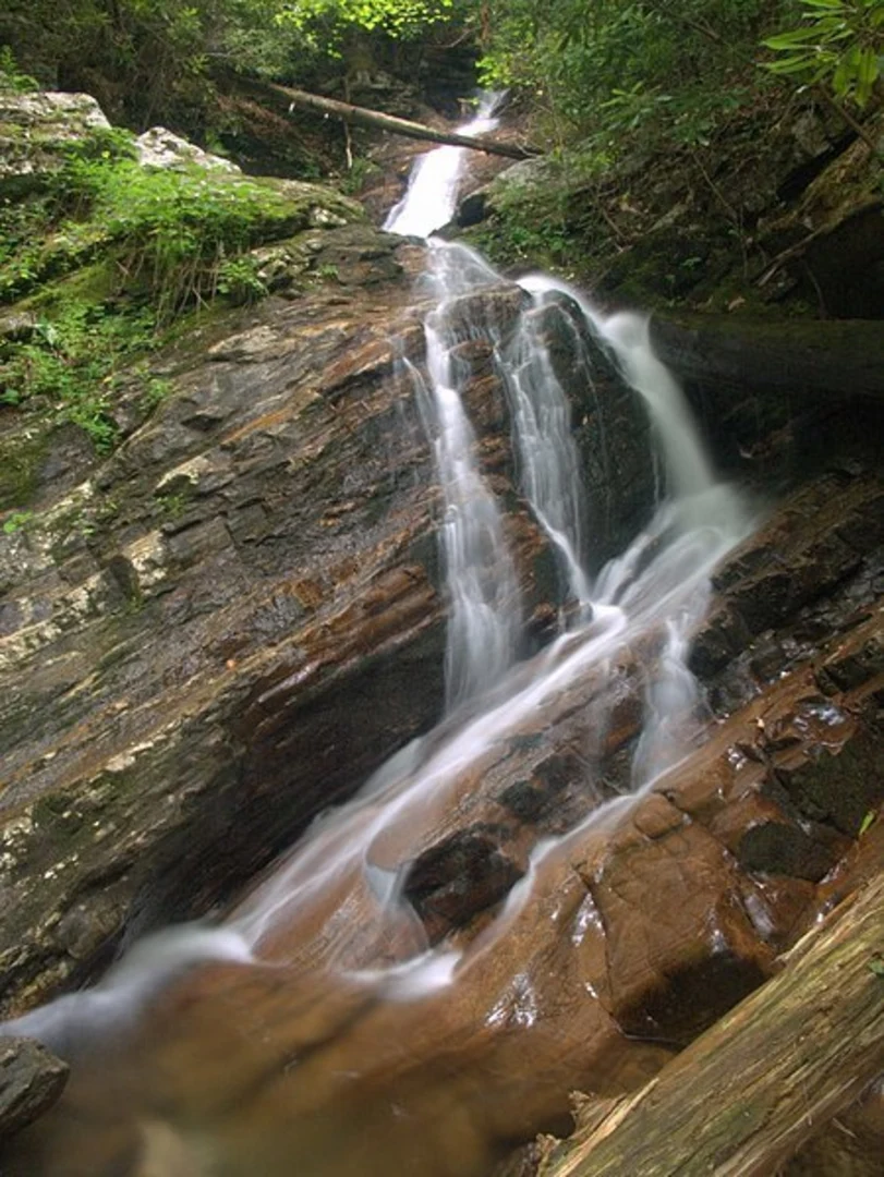 An image depicting the trail Deep Gap Branch Trail and its surrounding area.
