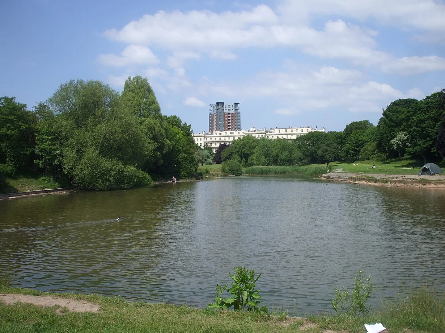 An image depicting the trail Southern Grasslands and Sefton Park Loop and its surrounding area.