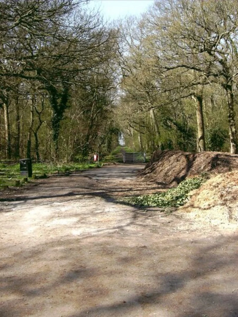 An image depicting the trail Tarr Steps Woodland NNR and Bradley Wood and its surrounding area.