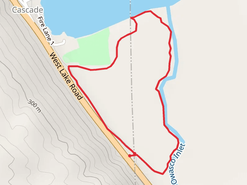 Owasco Inlet Loop